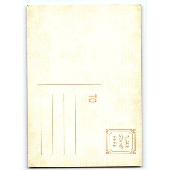 Vintage Photochrome Halloween Postcard Three Girls Holding Pumpkins - Picture 2 of 2